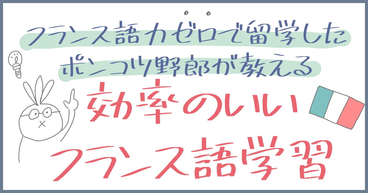 フランス語力０で留学して、フランス語を習得した服飾学生の勉強法